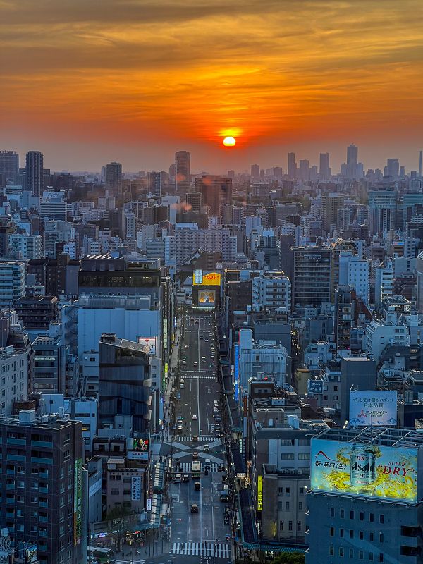 Tokyo, during sunsetphoto preview