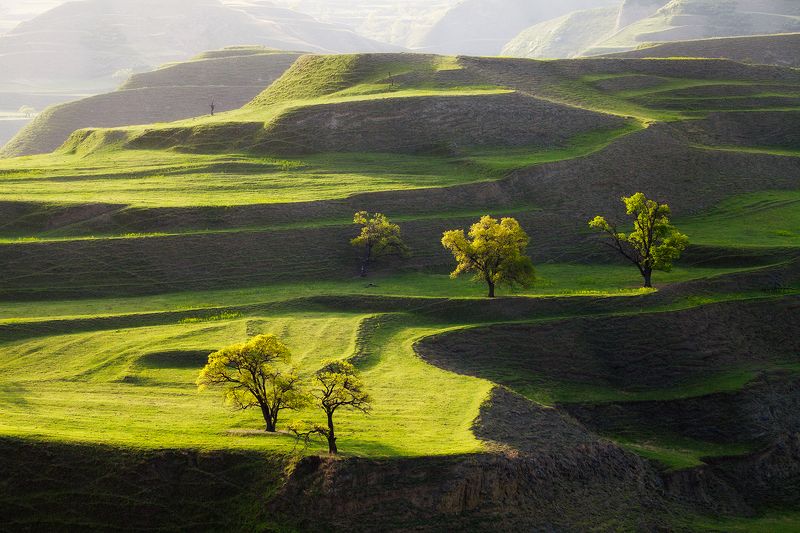 russia, travel, dagestan, nature, trees На Кегерских террасахphoto preview