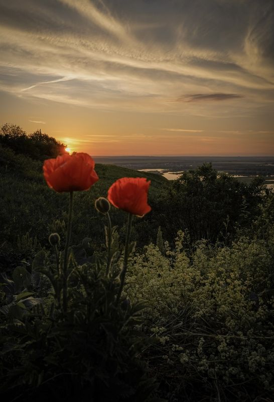 Свияжский закатphoto preview