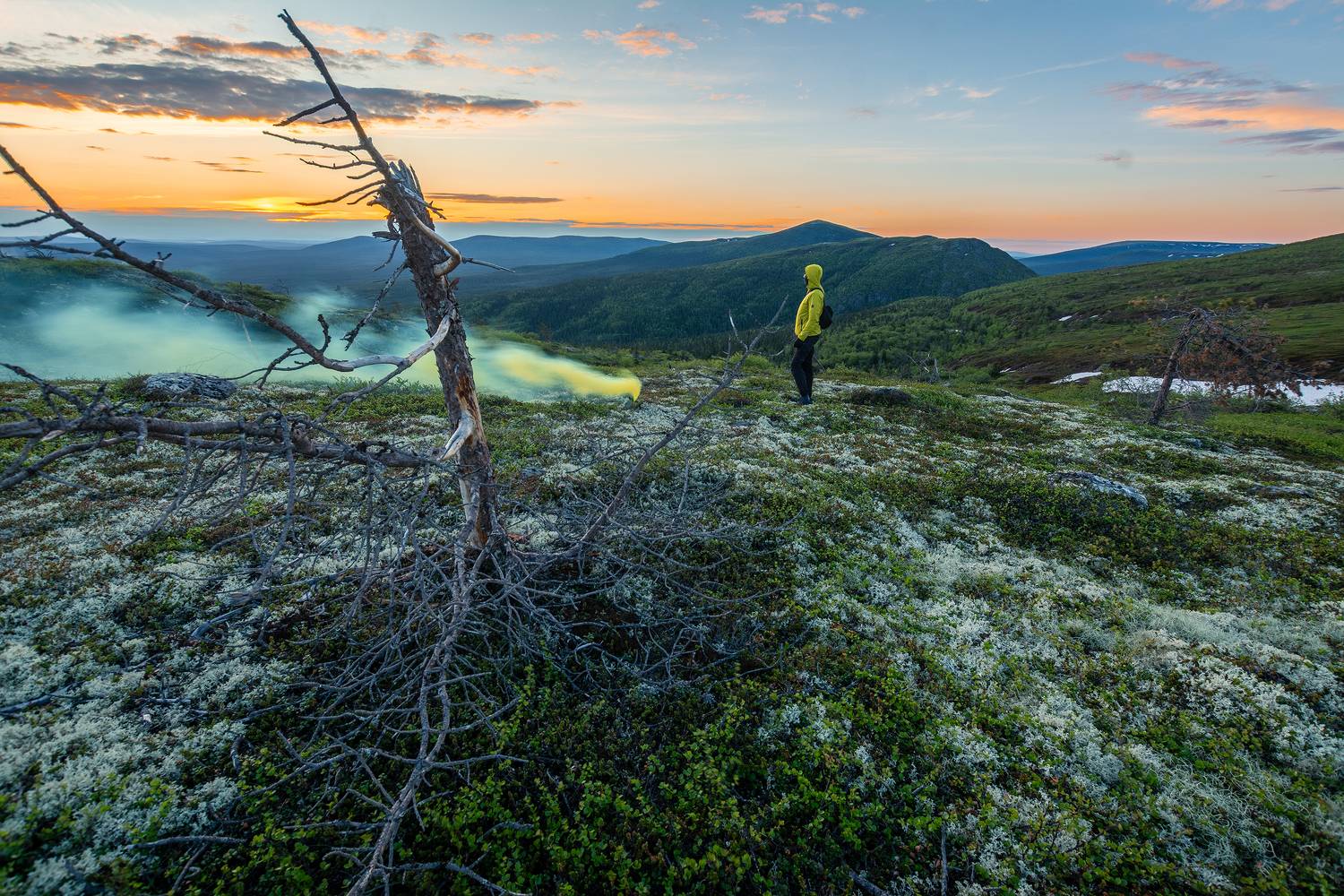Волосяная. Автор: Ян Сурогин , Ян Сурогин