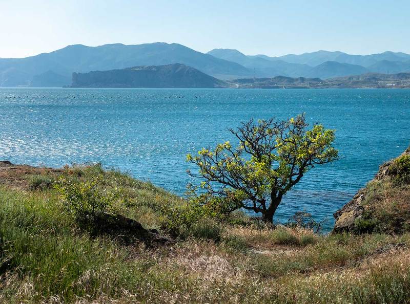 Наступление лета.photo preview