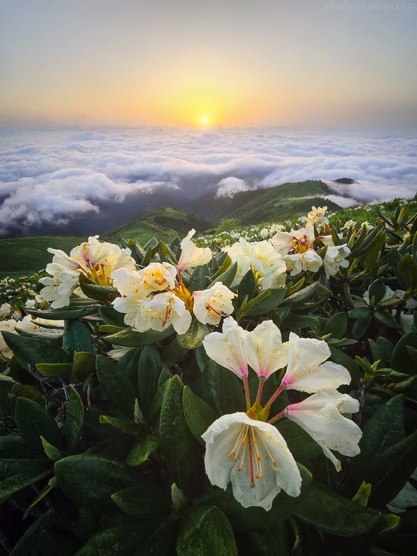 тхач, большой тхач, фототур, яковлевфототур, кавказ, адыгея Большой Тхачphoto preview