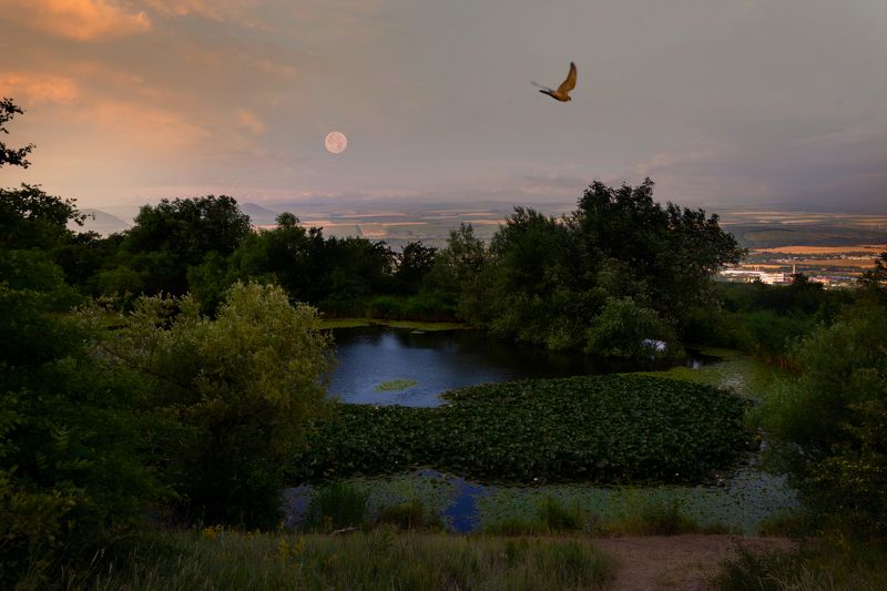 пейзаж,озеро, полнолуние, рассвет, кмв, июнь Июньское полнолуние⁠⁠photo preview