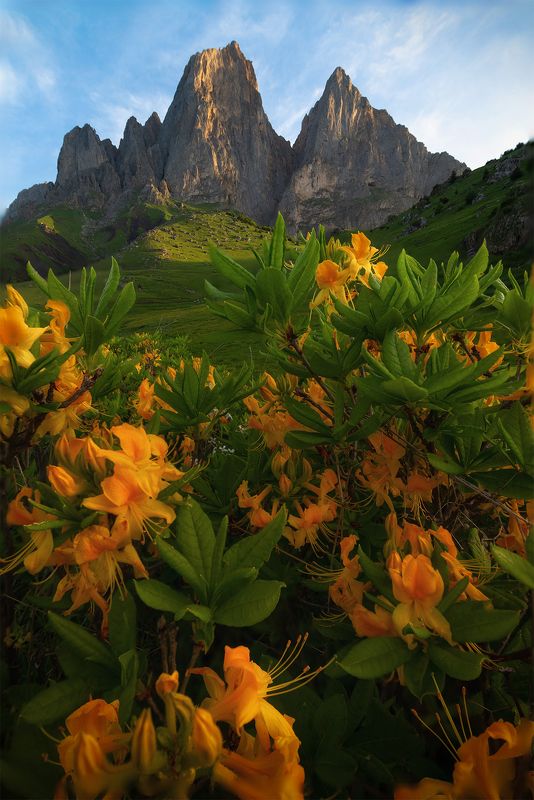 Цей-Лоам, респ. Ингушетияphoto preview