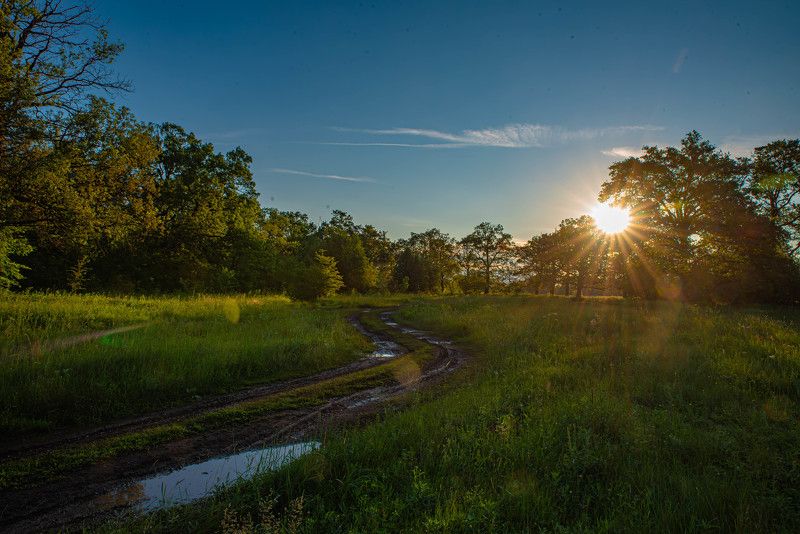 Утро.photo preview