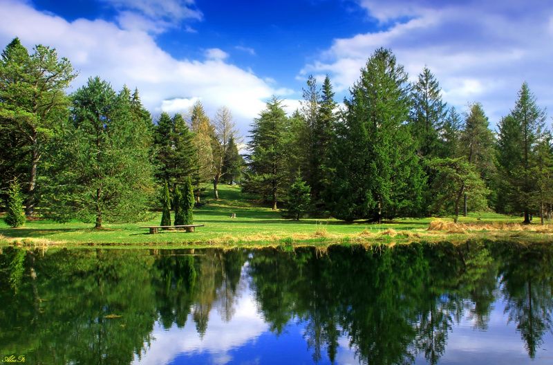 Лето, ах лето...photo preview