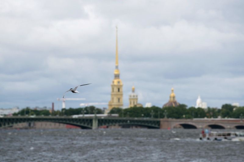 #санктпетербург Санкт-Петербург, 06.2024г.photo preview