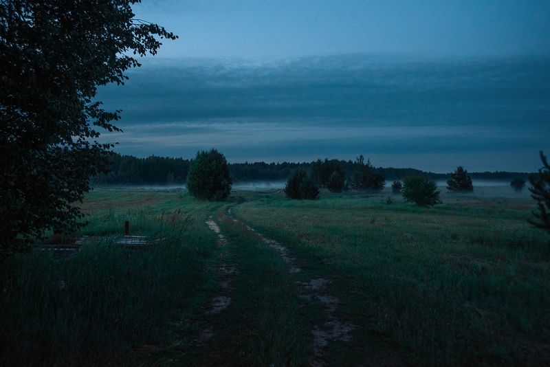 туман, деревня, пейзаж, fog, foggy, landscape, country, countryside, village, evening, summer, вечер, лето Летний туманный вечер в деревнеphoto preview
