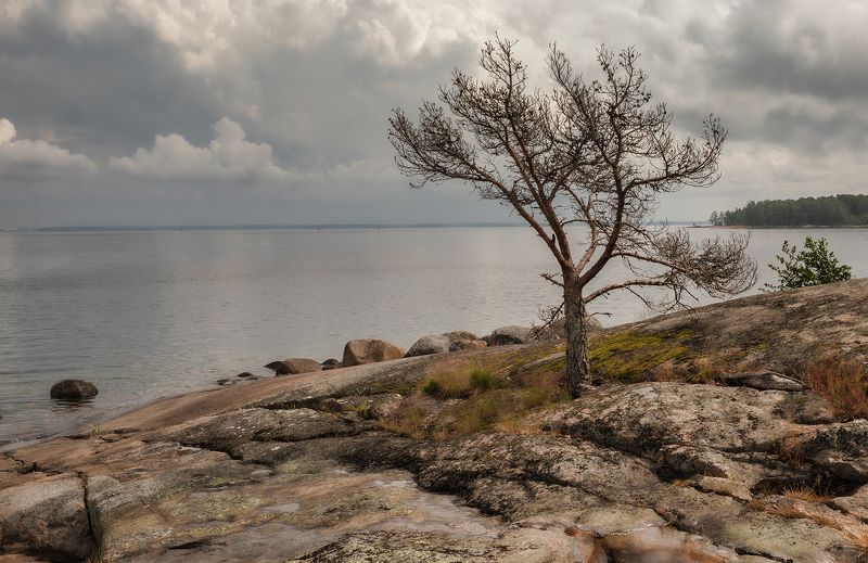 балтика,выборгский залив,остров маячный и на камнях...photo preview