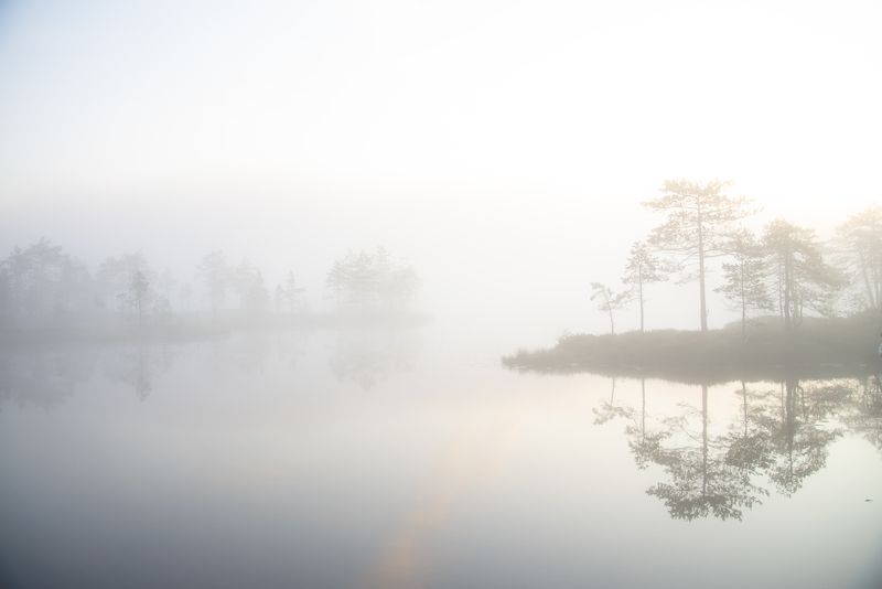 туман на болоте...photo preview