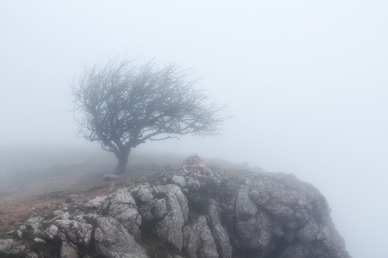 крым, горы, море. Обласканное ветром. фото превью