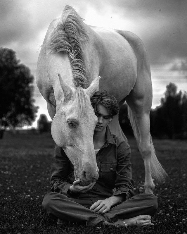 Довериеphoto preview