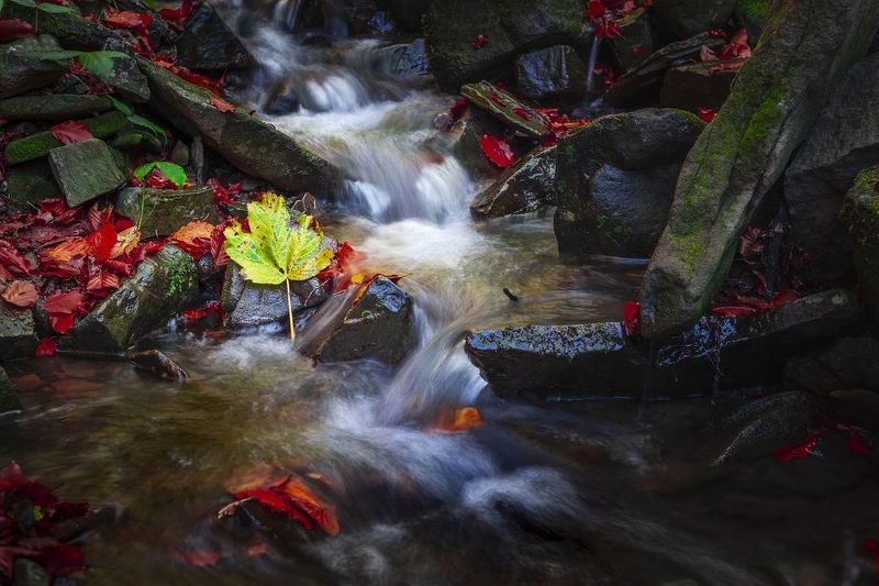 Bieszczady National Park - Polandphoto preview