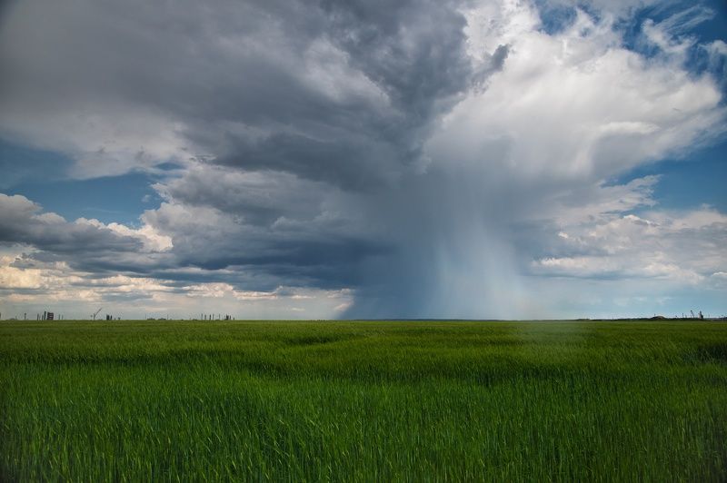 Перед дождемphoto preview