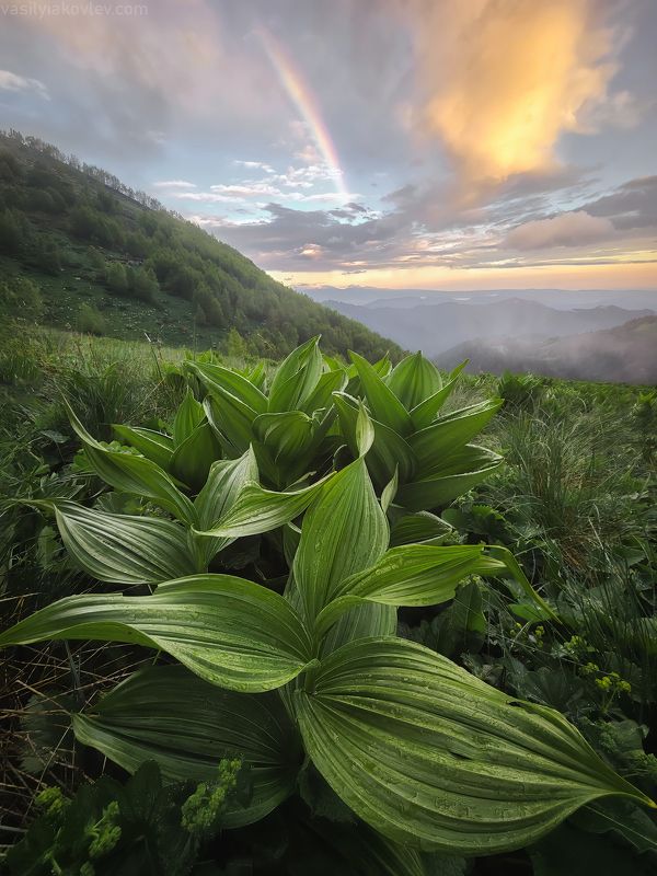 тхач, большой тхач, фототур, яковлевфототур, кавказ, адыгея Большой Тхачphoto preview