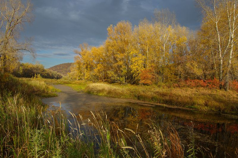 Осень золотаяphoto preview