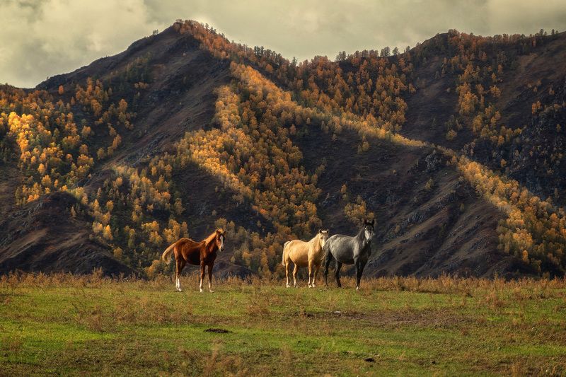 На закате дняphoto preview