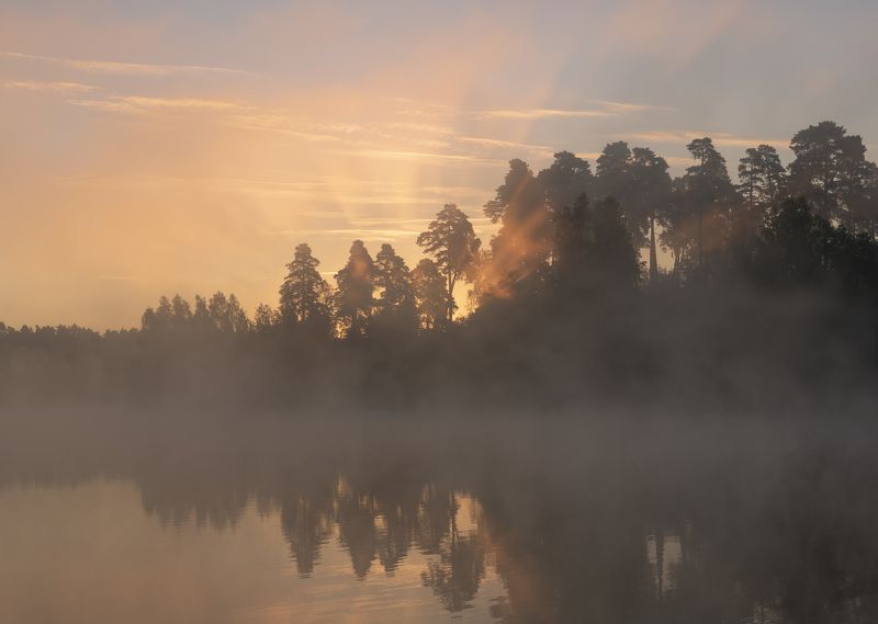 рассвет, туман Туманное утроphoto preview