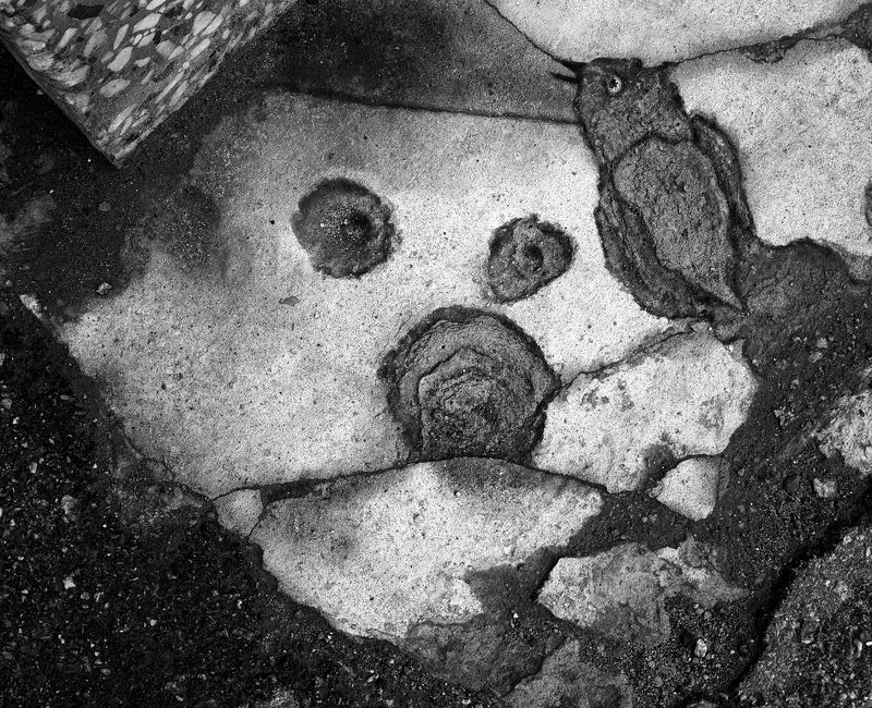 pareidolia Птичка и ...?photo preview