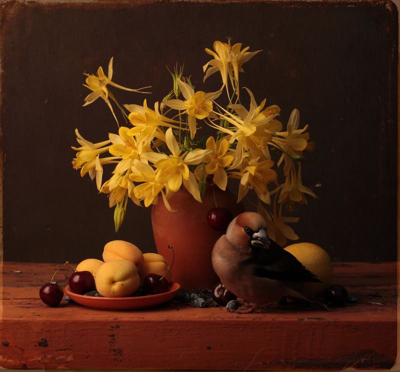 Дубо Нос и Водо Сборphoto preview