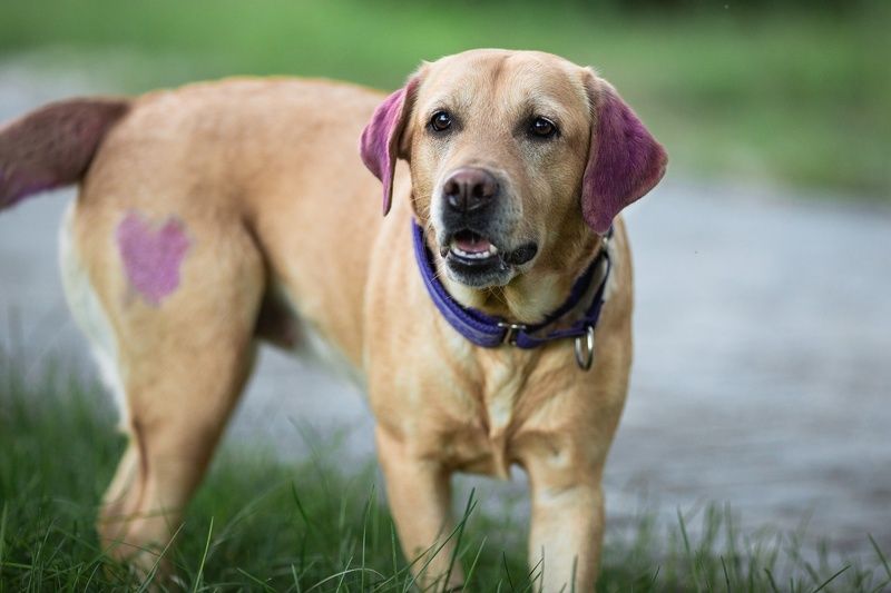 Мираphoto preview