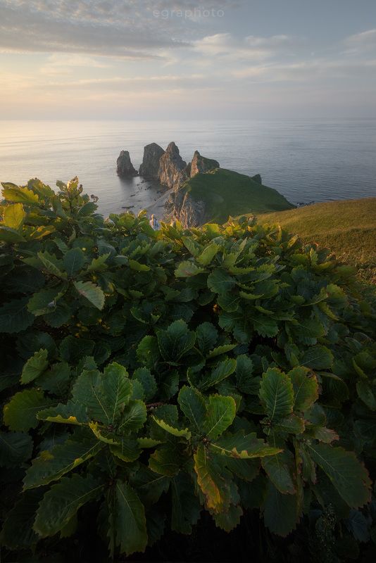 russia, primorye, primorsky krai, far east, россия, приморский край, приморье, дальний восток, японское море, japan sea, мыс четырех скал Приморье - мыс 4-х скалphoto preview