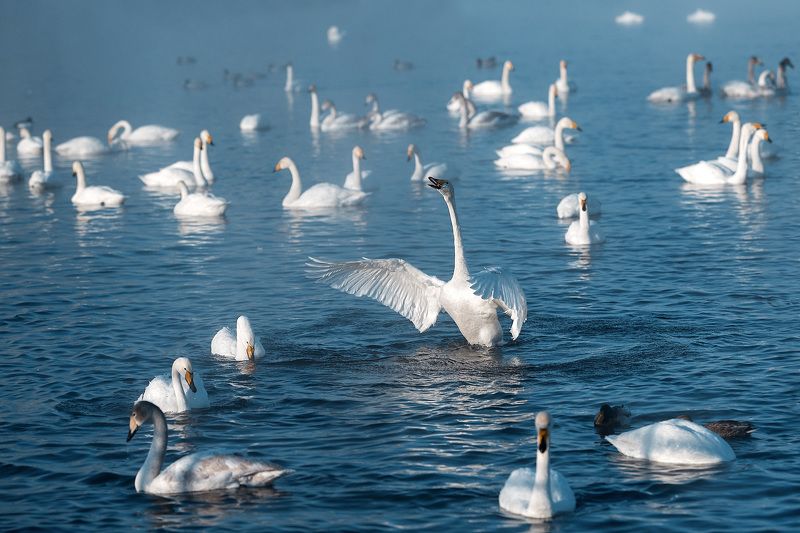 Минуточку внимания...photo preview