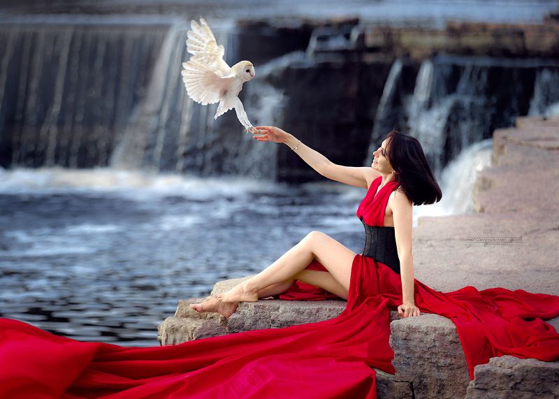 девушка, женский портрет, фотографспб, фотосессияподводой, фотографсанктпетербург, портрет, женщина, сова, сипуха  фото превью