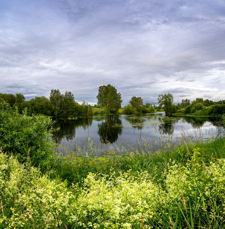 После дождяphoto preview