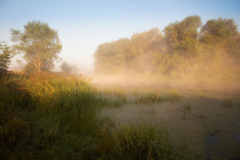 лето, речка, владимирская область, рассвет, шерна ***photo preview