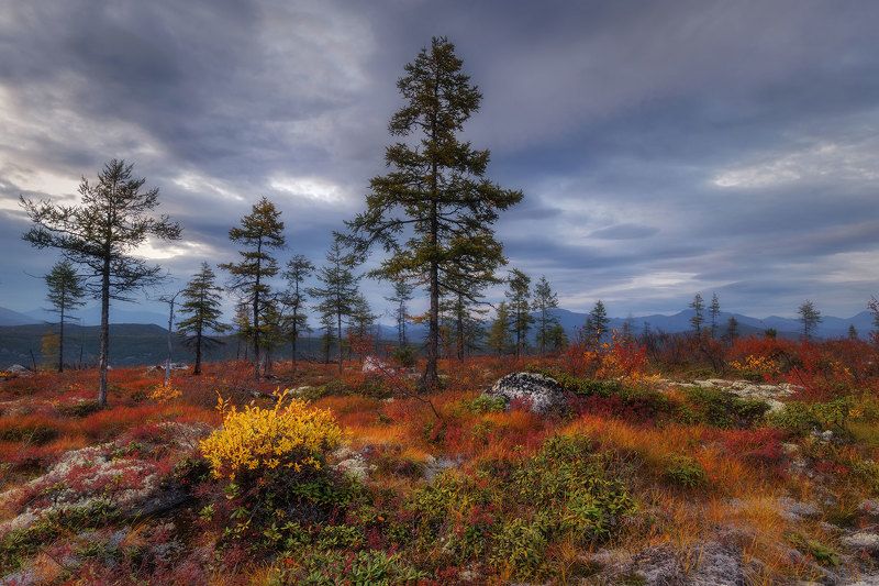 Колымаphoto preview