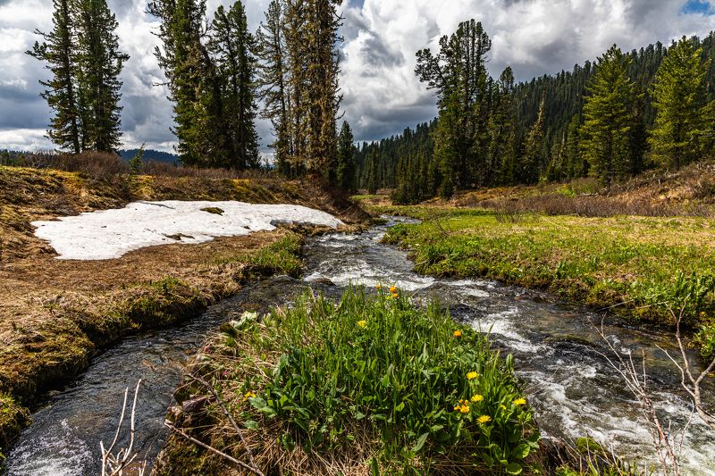 Саяны, Весна, Горы, Река Весна в Саянахphoto preview