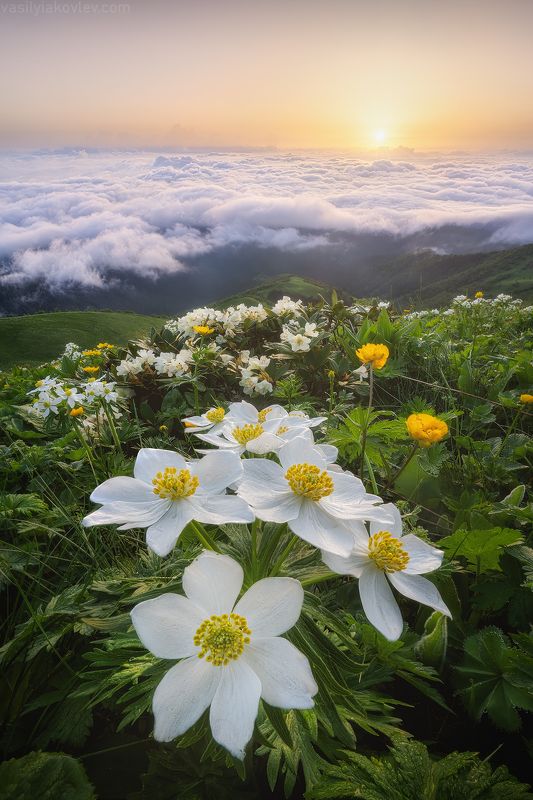 тхач, большой тхач, фототур, яковлевфототур, кавказ, адыгея Большой Тхачphoto preview