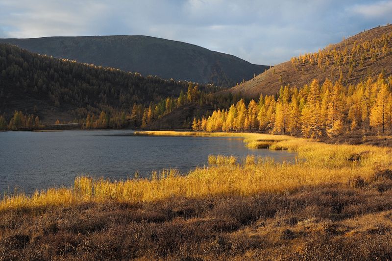 Золотая осеньphoto preview