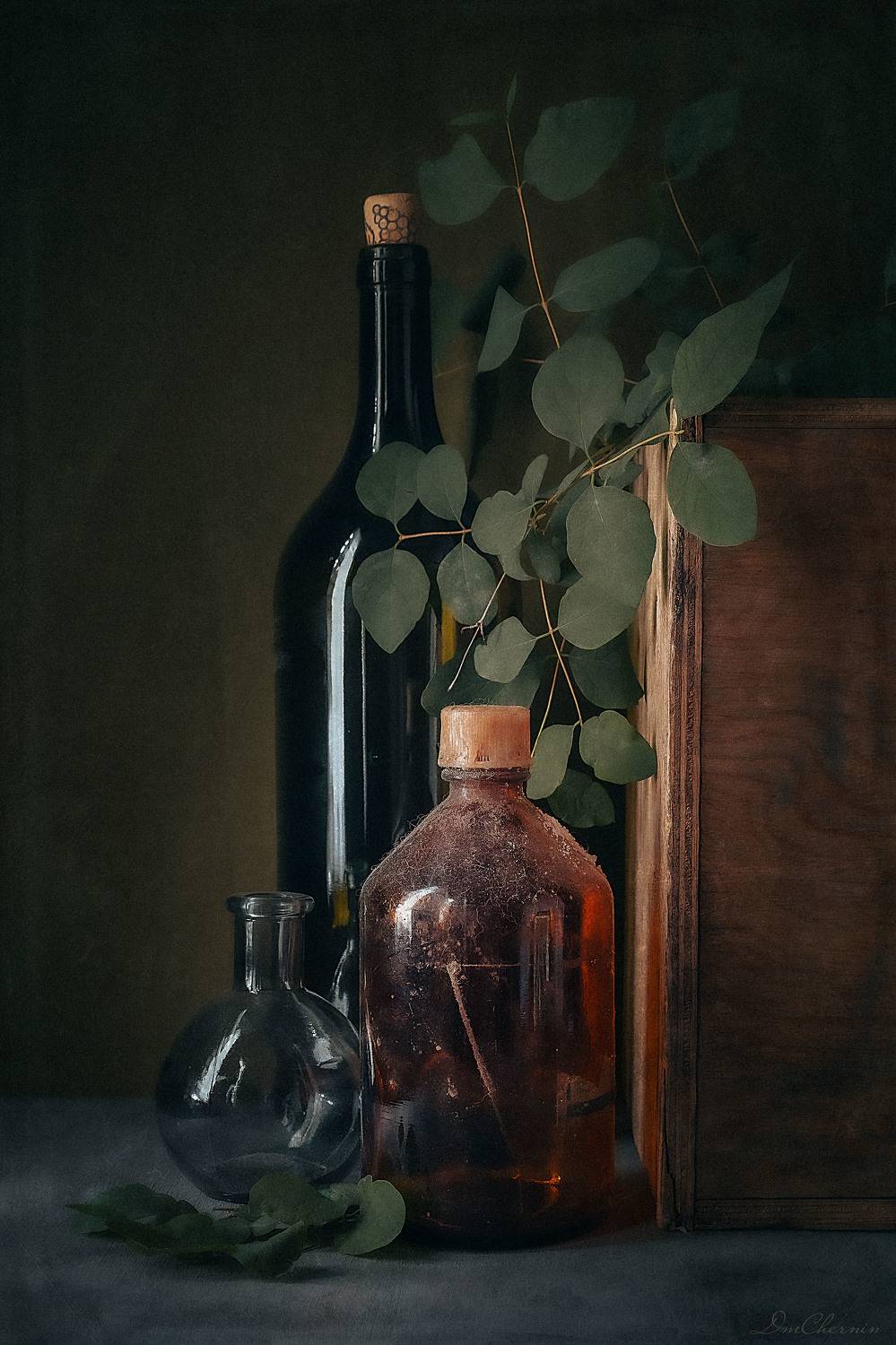 , Чернин Дмитрий