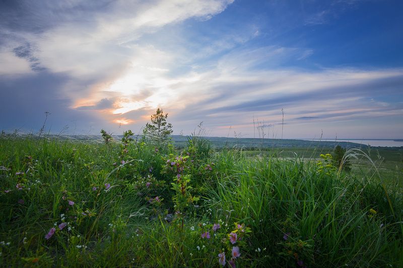 лето июнь сенгилей холмы Вечерело... фото превью