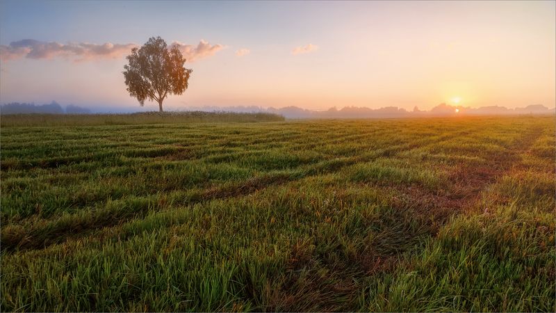 пейзаж, лето, утро, деревня, свет, цвет, александр никитинский Рассвет в деревне...photo preview