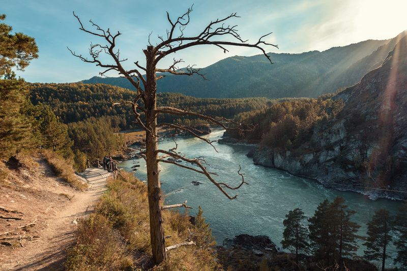 На берегу Катуниphoto preview