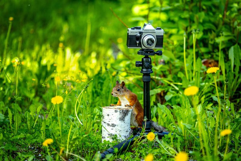 печора САЛОН \