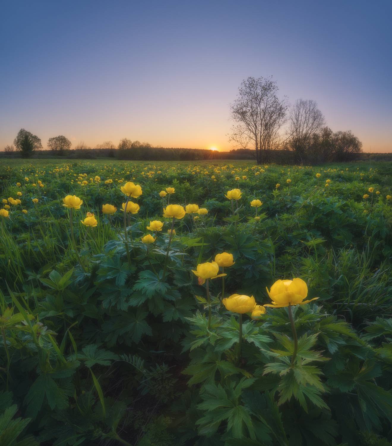 Купальницы провожают солнце. Автор: Михаил , Михаил