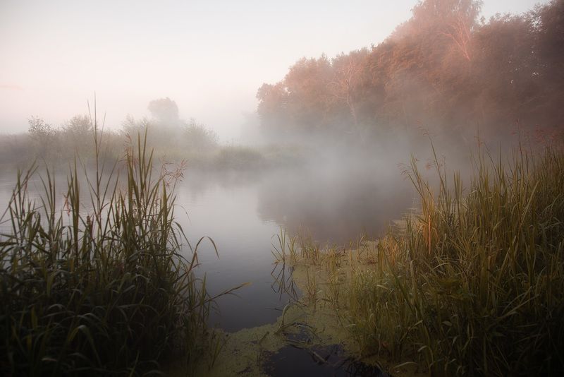 лето, владимирская область, рассвет, шерна ***photo preview