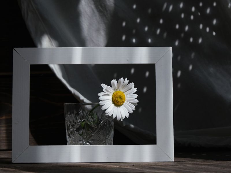 Летнее настроение photo preview