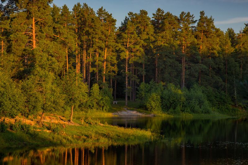 серково саврасово июнь вечер В закатных лучахphoto preview