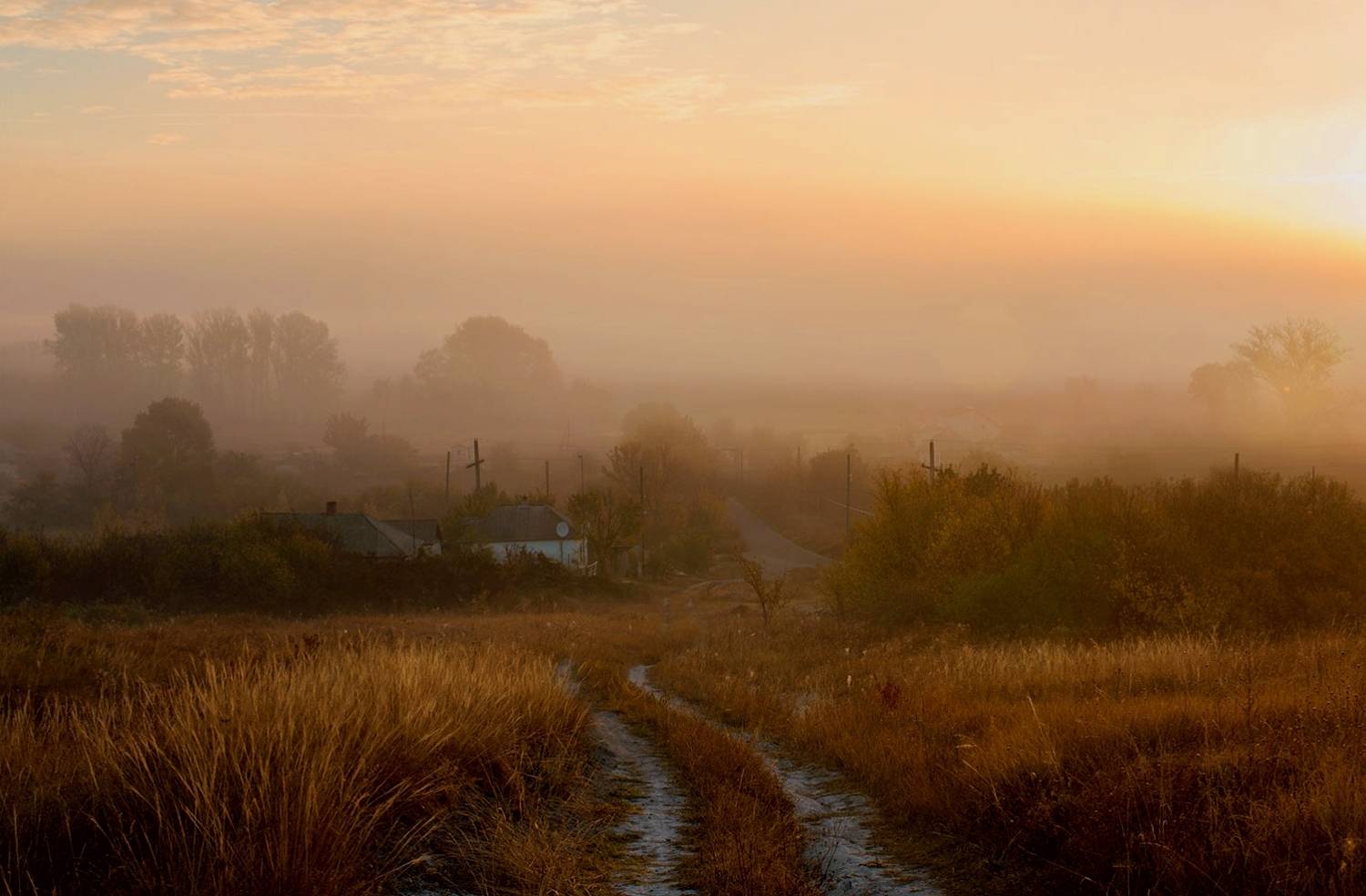 Дорога домой. Автор: Валерий Черняк природа, Валерий Черняк