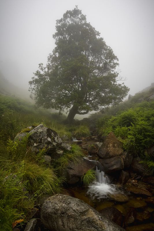 photo, photography, picture, land, landscape, nature, spring, river, color, mood , colorful, green, river, flow, flowing, forest, mountains Fairy talephoto preview