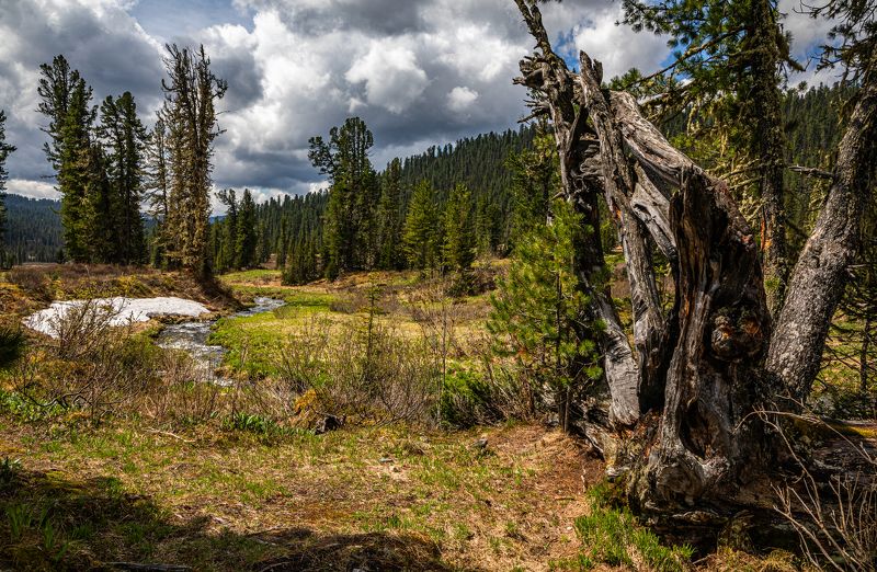 Саяны, Весна, Ергаки, горы Весна в Ергакиphoto preview