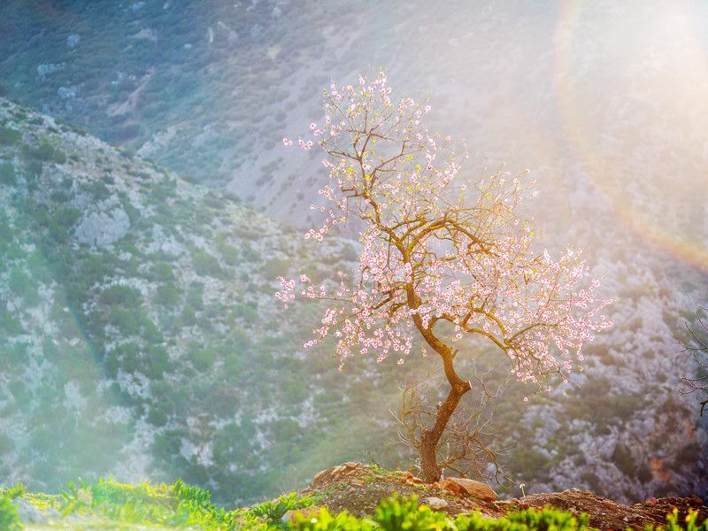 утроphoto preview