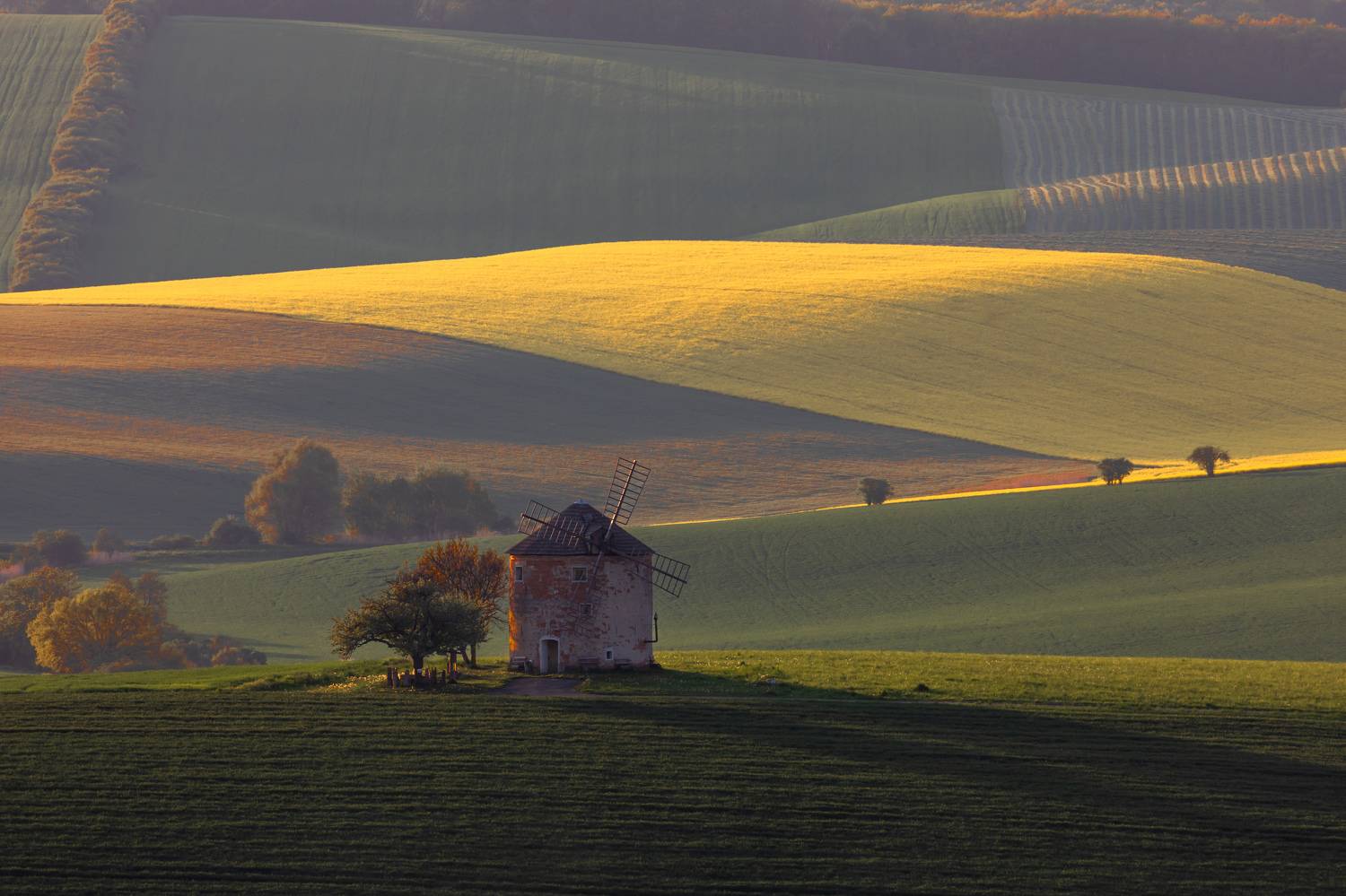 , Евгения Чех