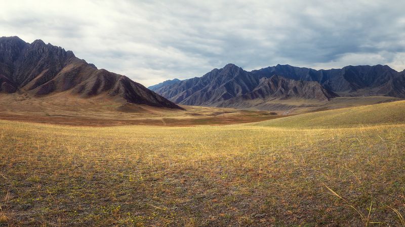 Тишинаphoto preview