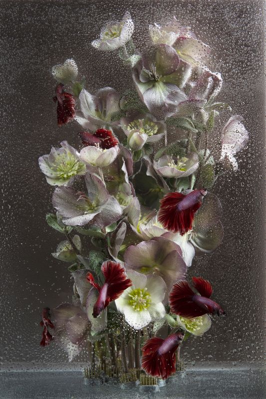 Фотопроект \